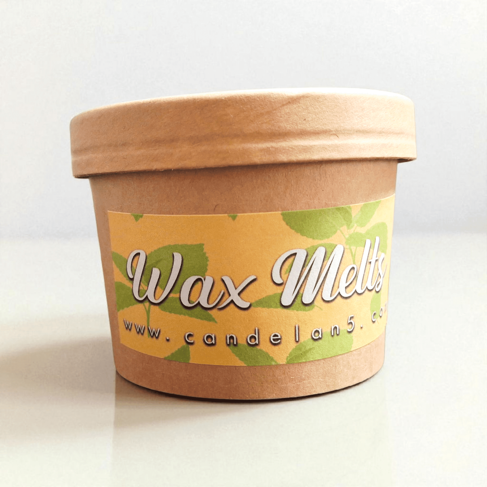 Wax Melts 🚫Mosquit-Out🦟🍋 - 2