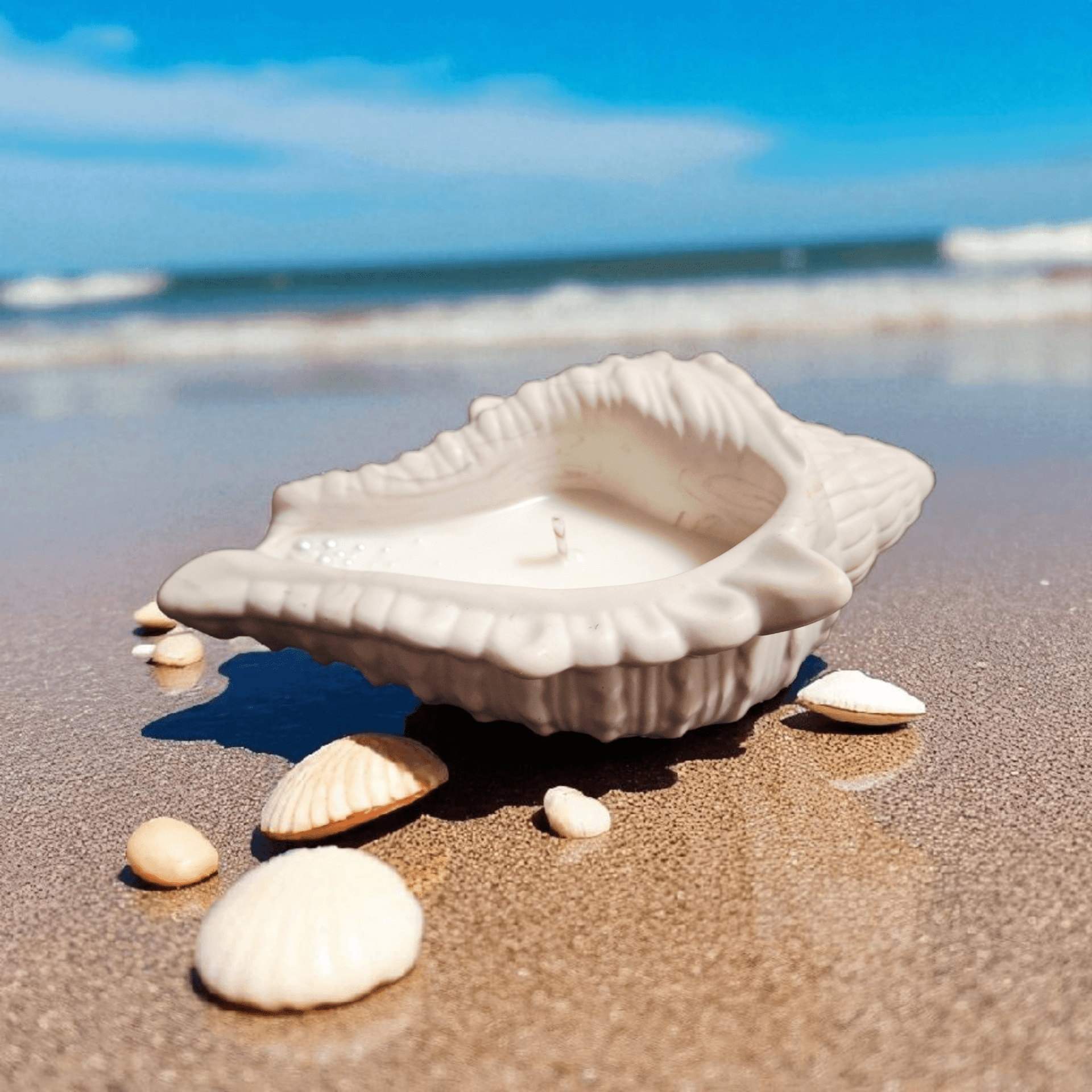 Vela aromática 🐚caracola🌊 - 2