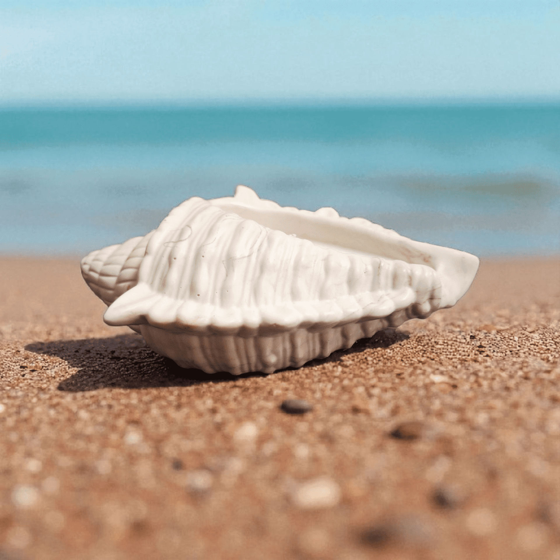 Vela aromática 🐚caracola🌊 - 3